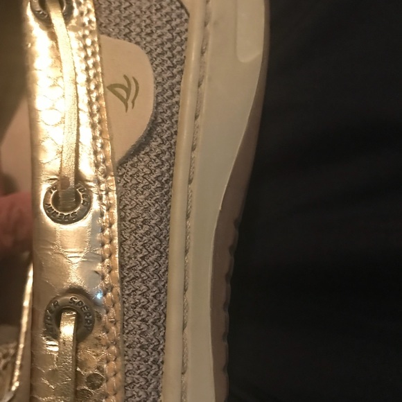 Sperry angelfish gold snake - Picture 8 of 8